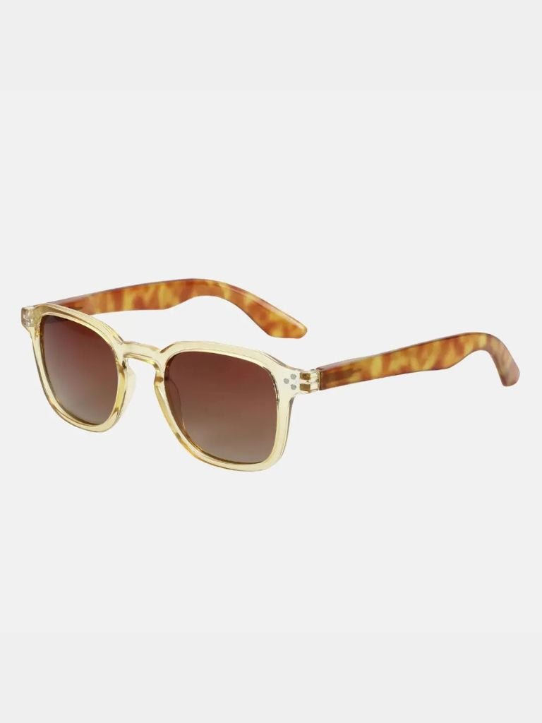 Lumen Virtus Sunglasses – Manly Man